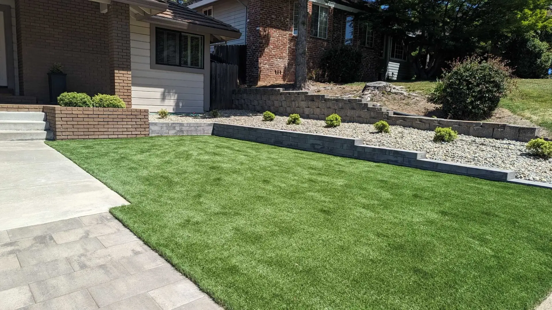 Fresh sod installation in a front yard landscape