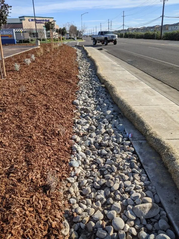 Commercial walkway with concrete and planter borders