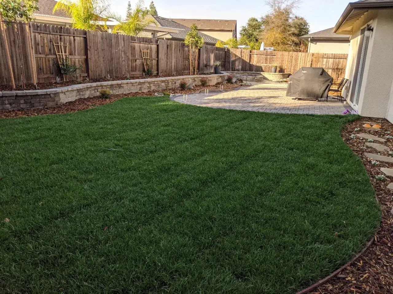 Backyard sod lawn and clean planter beds in Roseville, CA