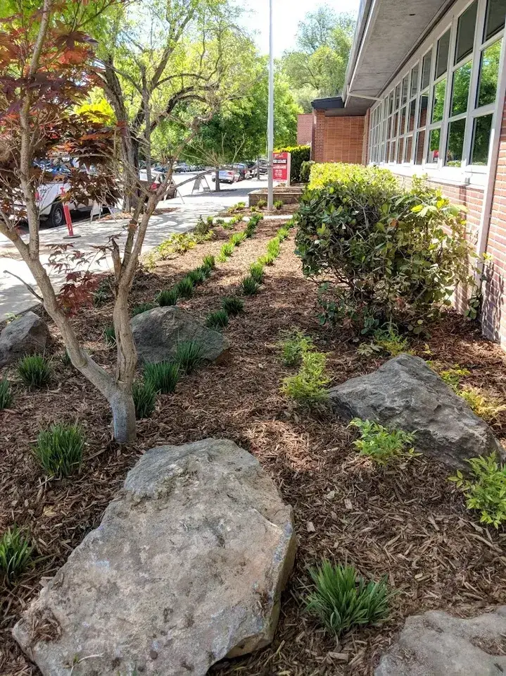 Commercial landscaping project in Sacramento by McGuire Earth Works