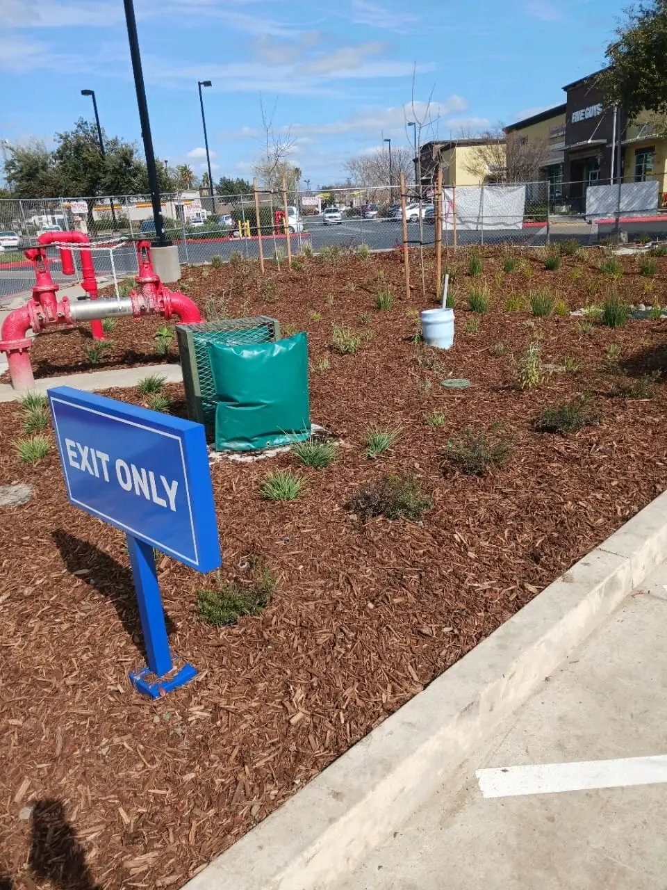 Commercial landscape construction in progress
