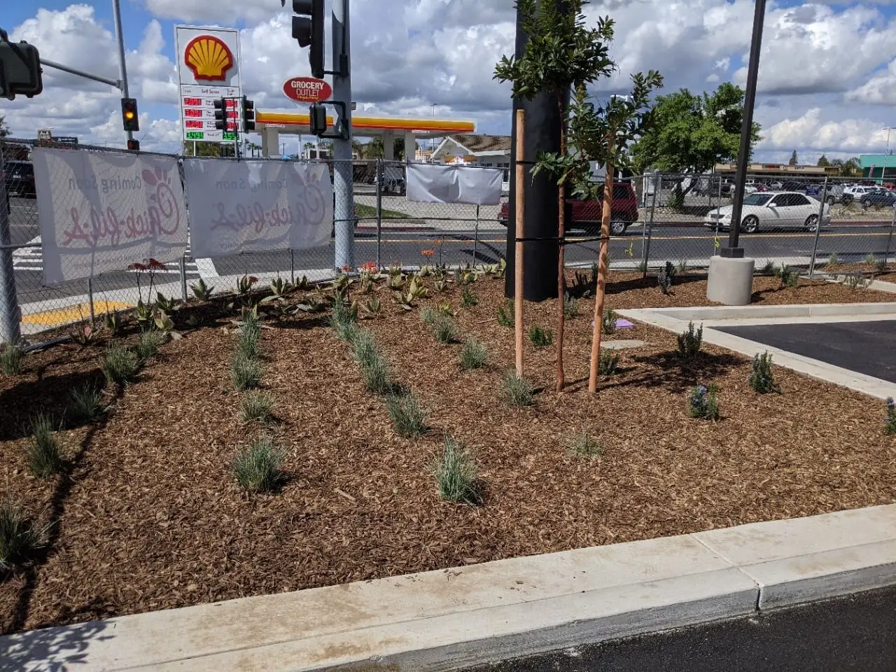 Commercial softscape with new tree plantings in Sacramento, CA