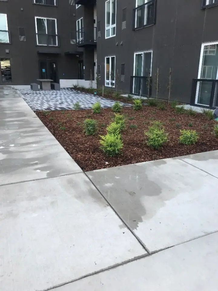 Commercial landscape installation with new plantings