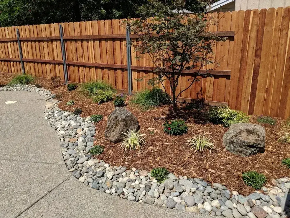 Sacramento residential planting bed with shrubs and bark mulch