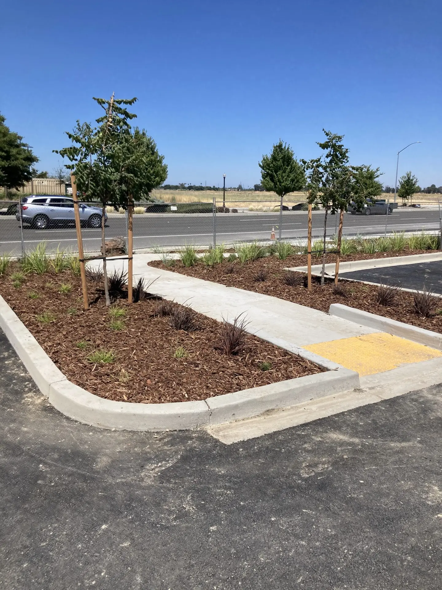 Commercial parking landscape with marked stalls