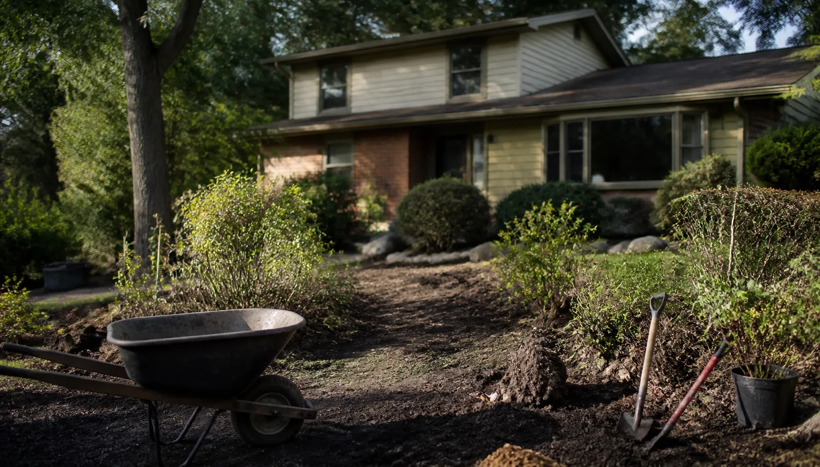 renovating an aging yard in Orangevale, CA — McGuire Earth Works renovating an aging yard project in Orangevale, California by McGuire Earth Works